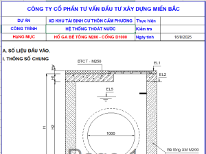 Mẫu kiểm toán hố ga D1000