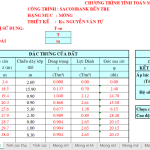File excel tính toán cọc nhồi